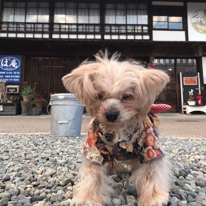 D04140b3 8489 4b2a 99a2 057470987ba5 1547046413947