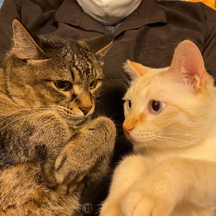 D0418be1 757a 41bd 86ab c881170df455 1624773713925