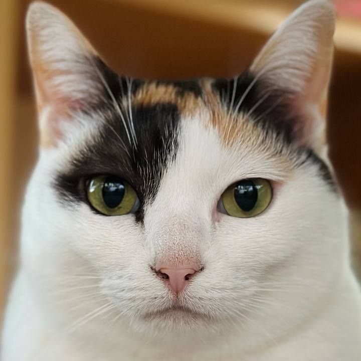 D041ae7c 82c4 42b8 9112 34c01e758922 1681175791228