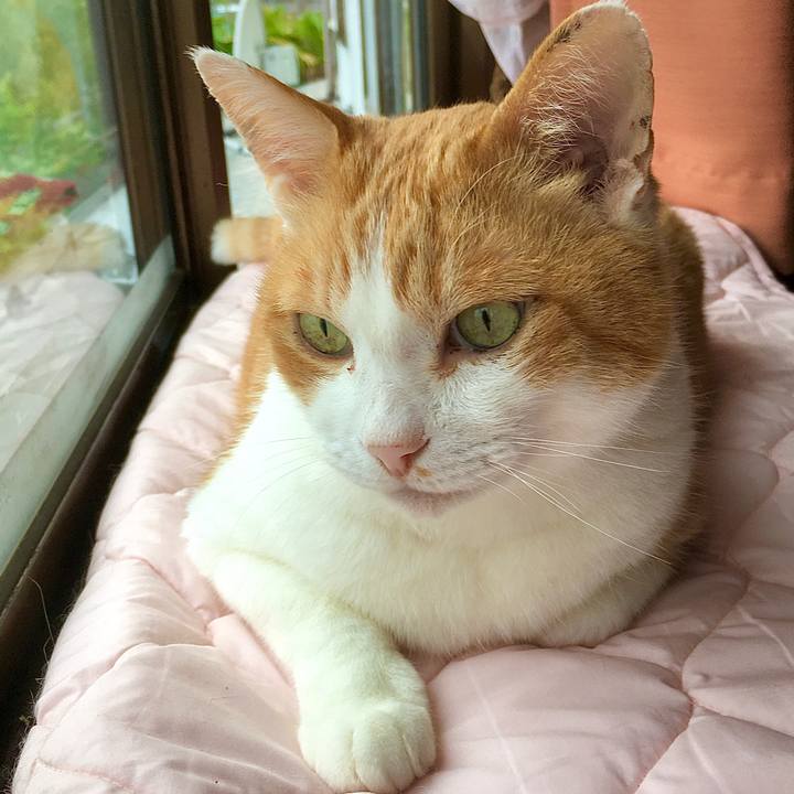 D0422404 2240 4cbd 8891 f33550c3a458 1589686071745