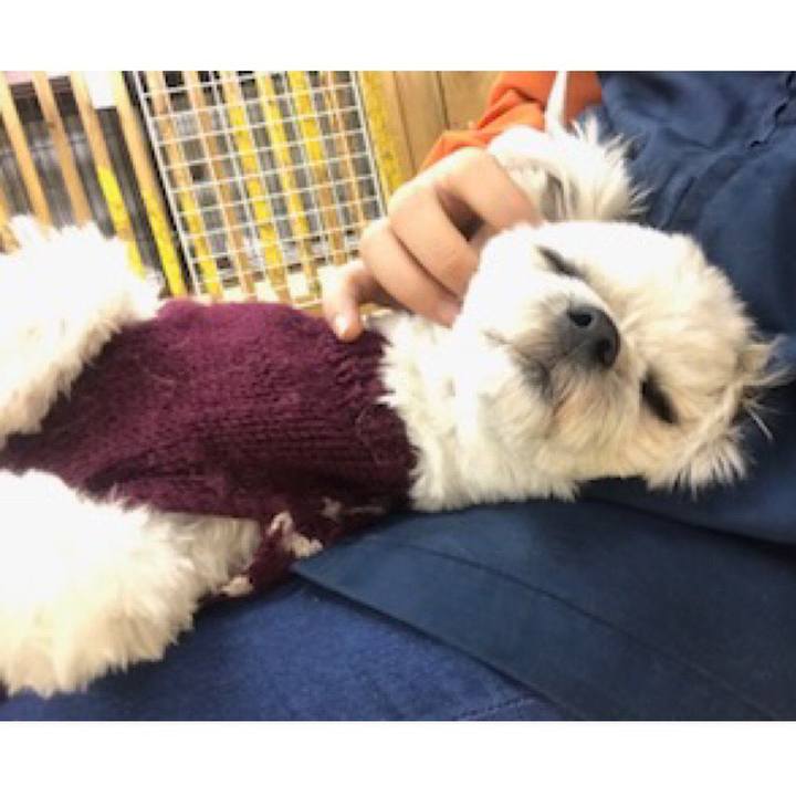 D0423630 f08c 4038 a9e1 e7609a37a9a4 1518177040473