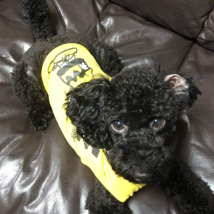 D04299a0 0219 4e86 8698 6d449d803350 1539420035947