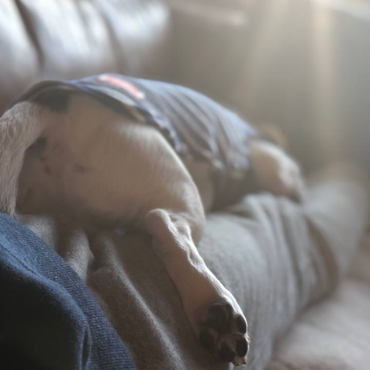 D042d337 bb1d 4f96 9b66 9b7d666276c5 1554540397702