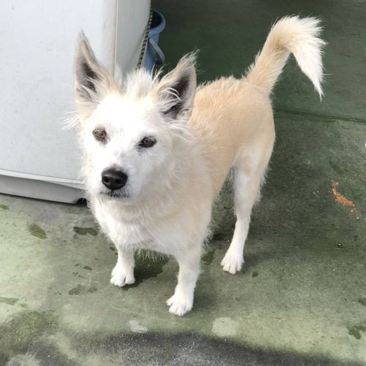 D042f305 828e 4f21 b32a b7074f472c08 1548165928909