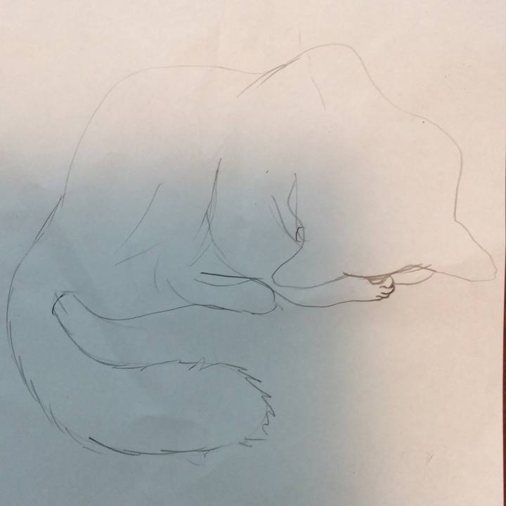 D0430529 7a70 4297 80f2 c8e82e033f1d 1574428585289