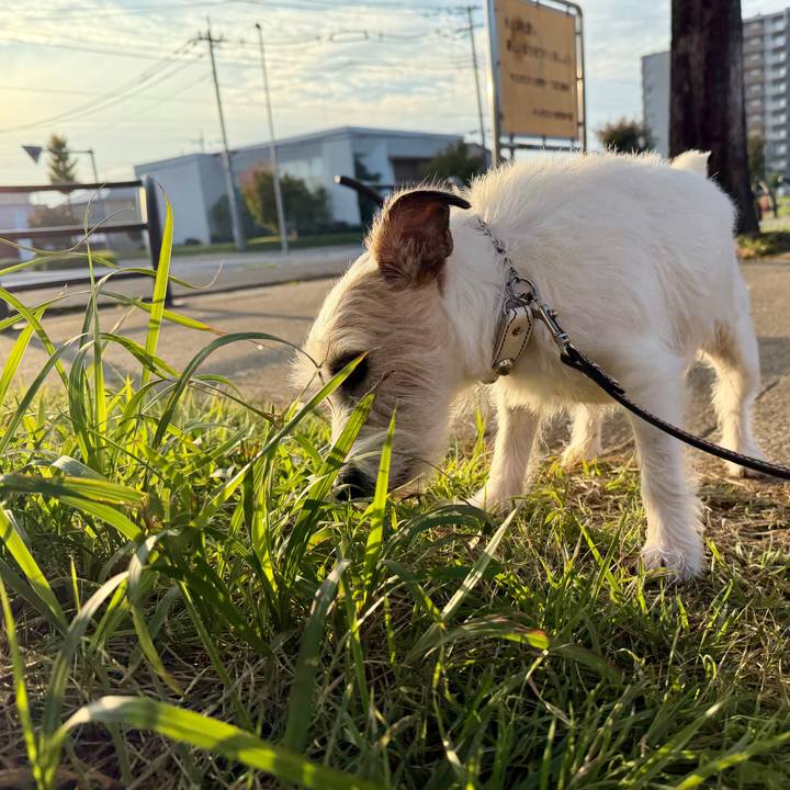 D0431f3c 489f 482a 9192 b032df76543c 1761788164467