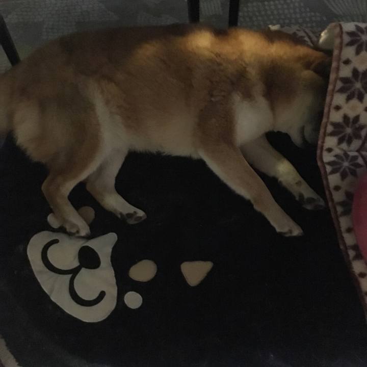 D0435a1a 6944 43ea 9b4e 2f06fe99cb8d 1553565126436