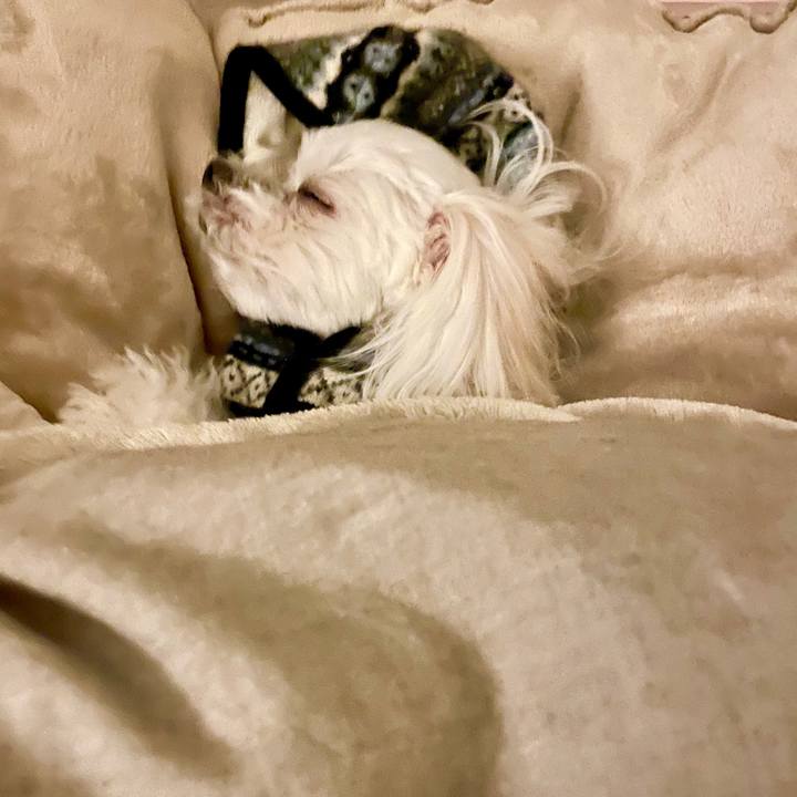 D043614e 48e7 43bb 92bd bddb2b0b5040 1614525011103