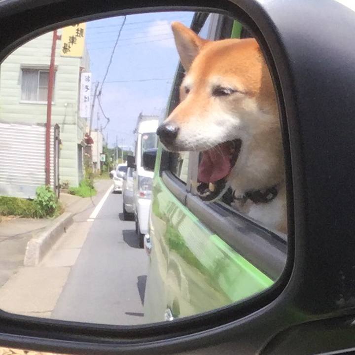 D04372bd 02c5 4574 9555 35eef8ed2a96 1591073978008