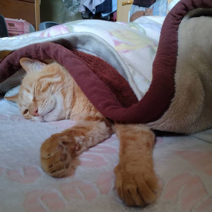 D0439896 45d3 4be9 b538 25e48fdab73a 1680938887634