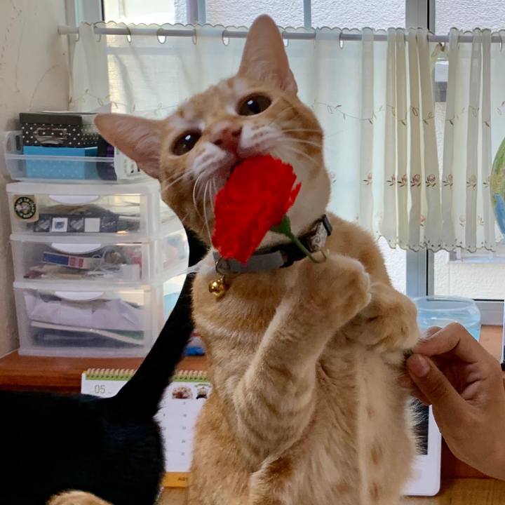 D043c385 0a3f 49f0 b4bb 7d4b3852919a 1557668610362