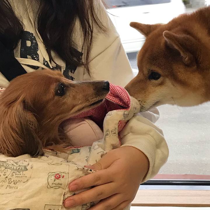 D04437d5 7731 4713 bf34 fa418ca1bd70 1600945764346