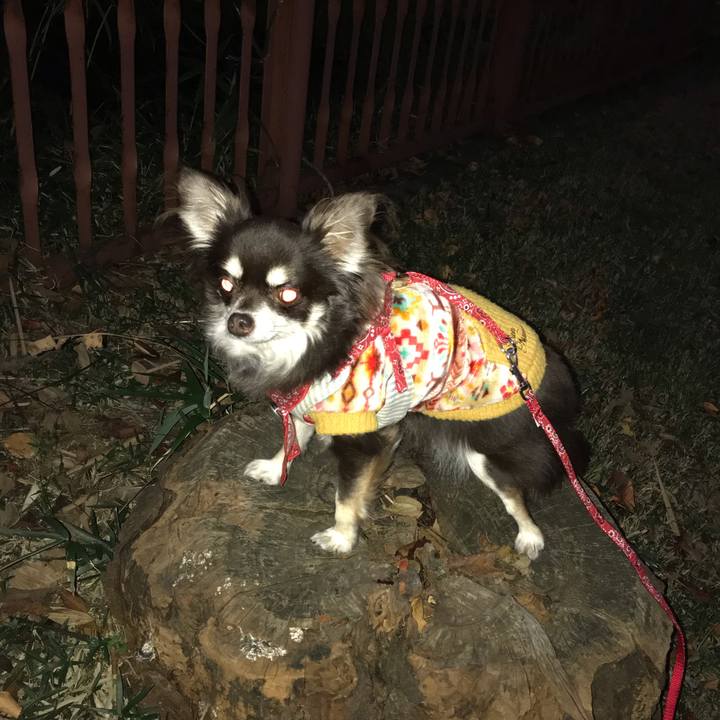 D0448abe 688d 4911 8f7c b8d83931f0c6 1542978764828