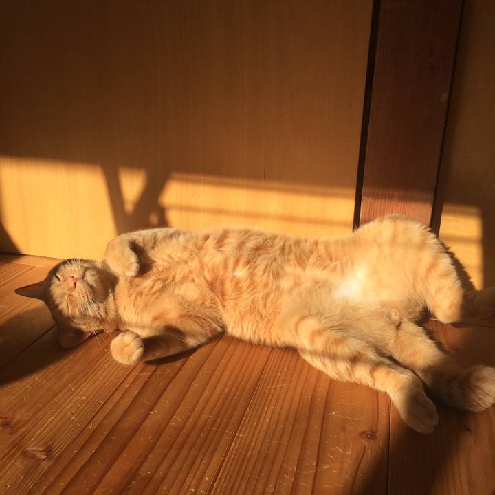 D044a78b 06d6 4e39 a6bb 7123b9654af3 1552516765490