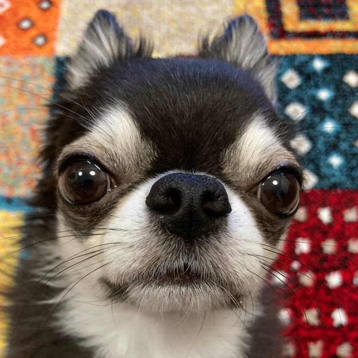 D044c148 d4e6 41e7 ab9e c045b6f7b6e4 1686950788020