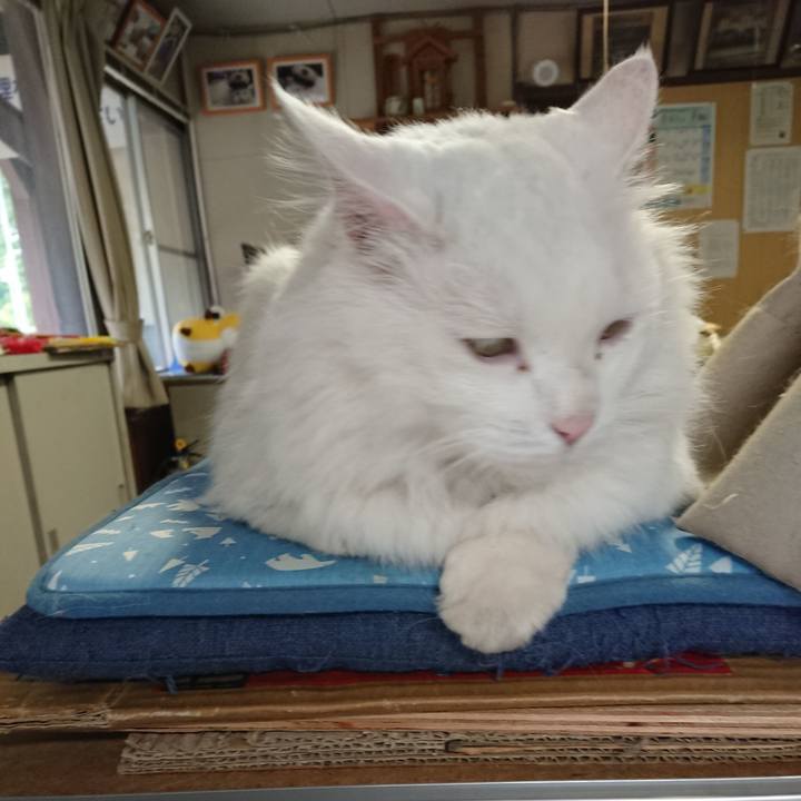 D044c4f2 fd97 49bc aed7 872a8fd6fe83 1562365421407