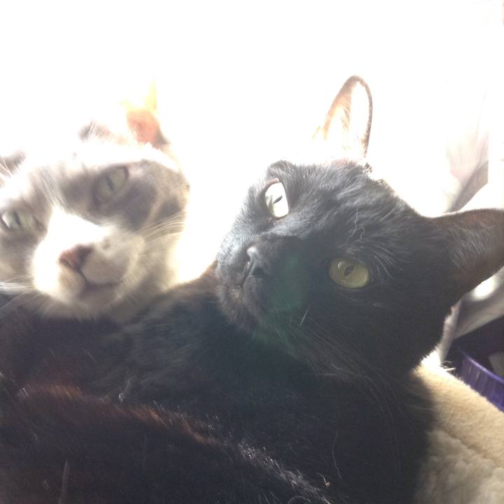 D044c7c5 4cad 423b ab74 a78e0a7ad56c 1519016264923