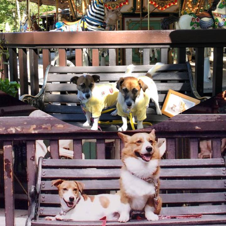 D044cad0 92dc 4d15 b19c 50443ff4316b 1538873838949