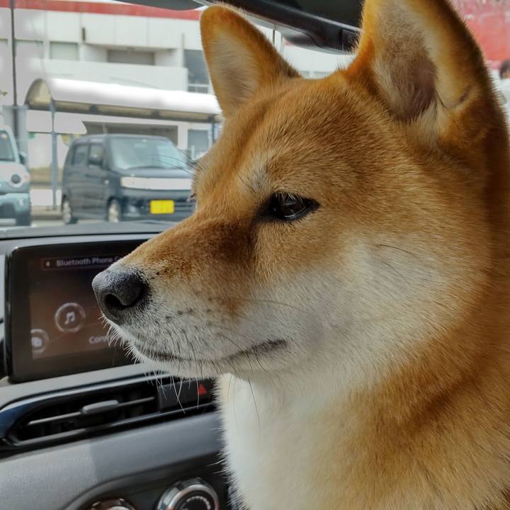 D044ceab 27a1 4a7f 9d7f 7d8955c432a9 1655699951065