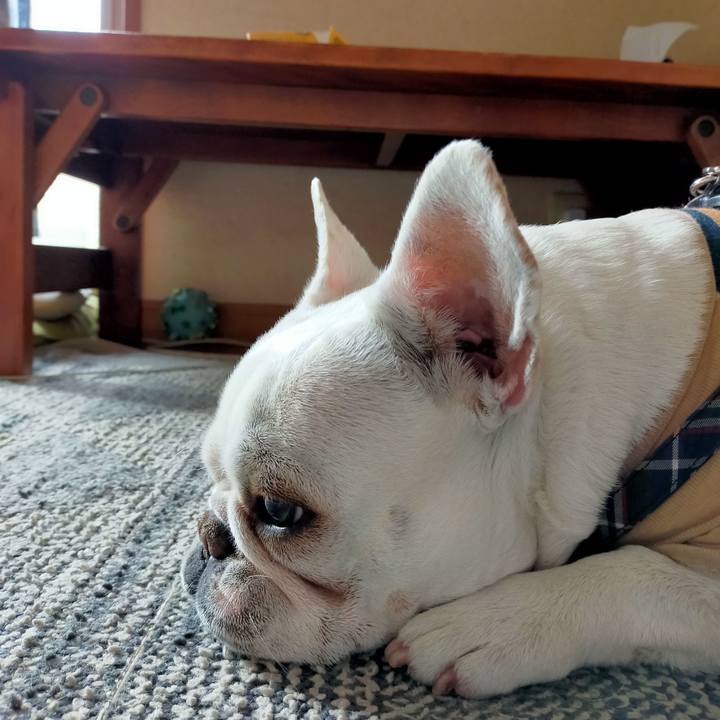 D044e945 d5b9 4675 9f7c 99607fe3df0b 1646001679902