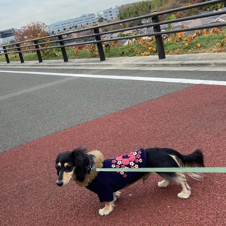 D04512b0 f909 414c 804c b696704a5629 1734061238688