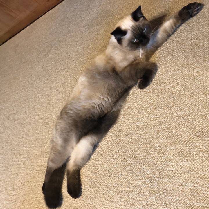 D04529fc 5f01 4291 854a ec4d6560bc61 1602502706315