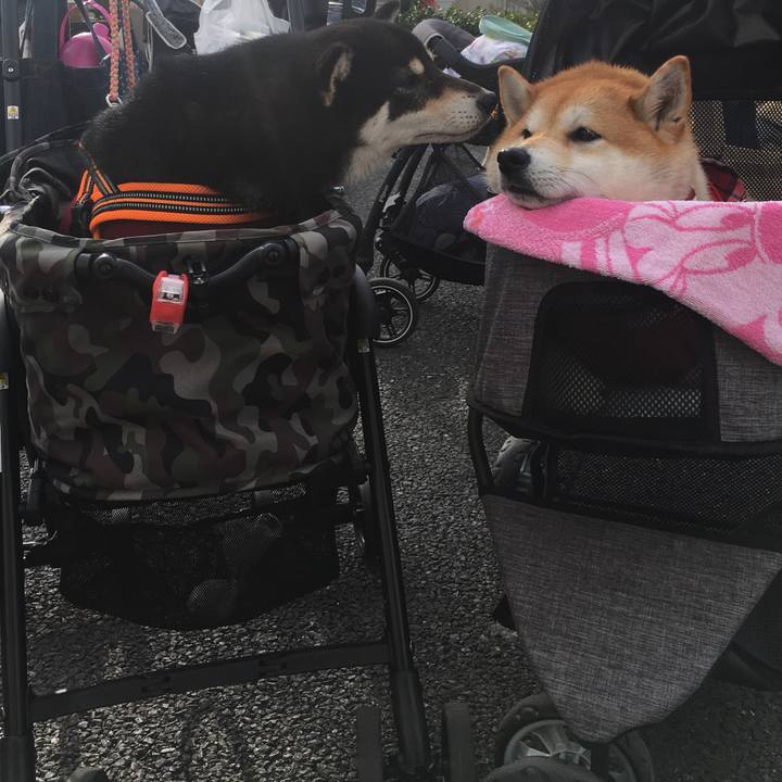 D0453466 a8f4 47c6 ae75 0317d413f1f2 1575197807659