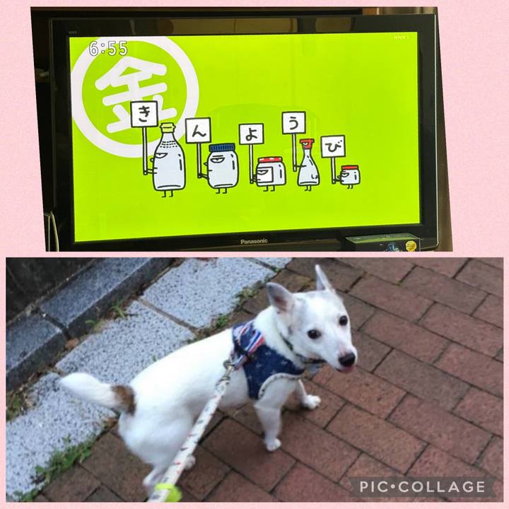 D0453506 784b 484b 99e8 a43640b3e188 1759444610334