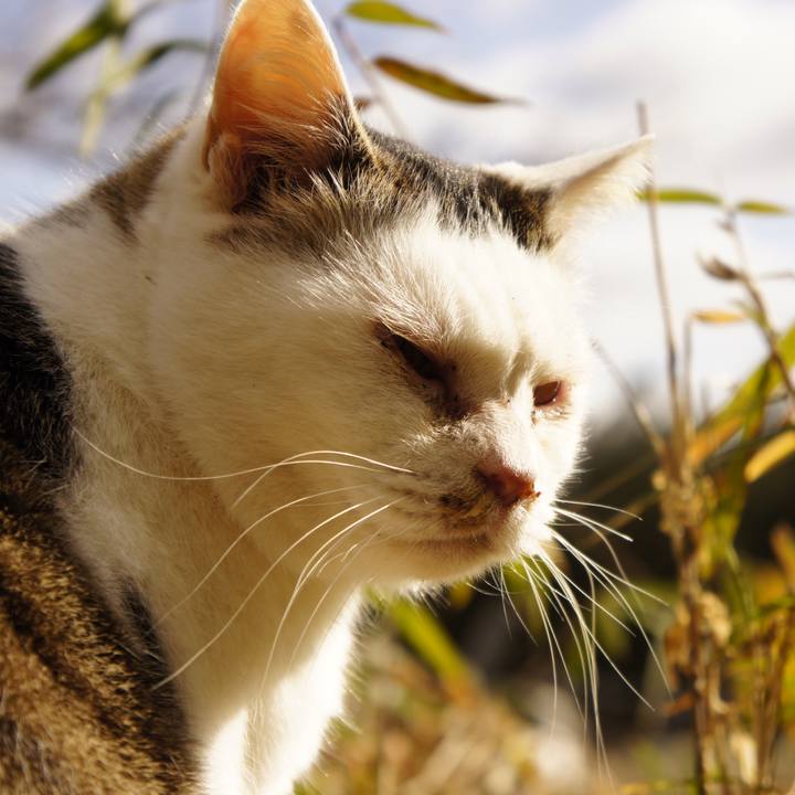 D04568e1 1066 4c59 9f75 53760c4224ad 1514706340979