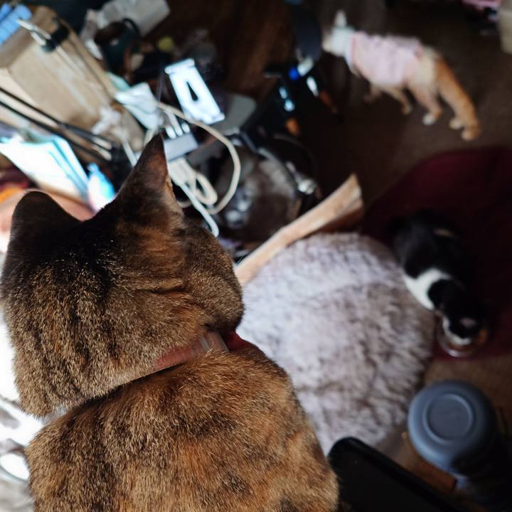 D045b971 4bab 456e 85fc 605155353863 1769562637757