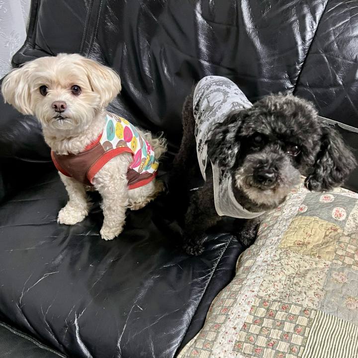 D045dadf a344 4f9c bb10 438f59b11315 1762160815425