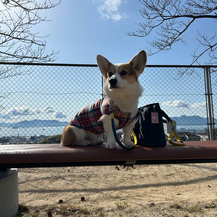 D045de50 dcee 4a48 9413 fd06963104c1 1769402739772