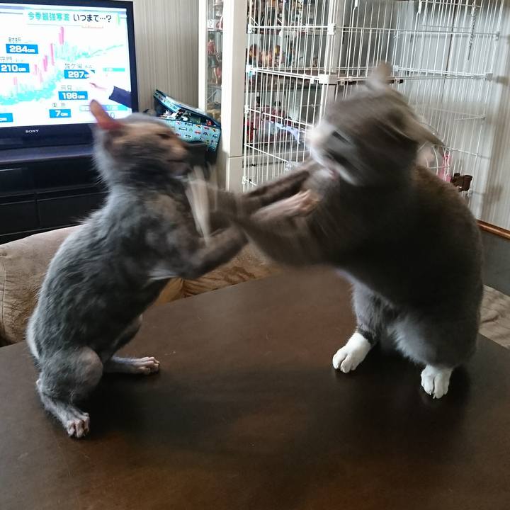 D0461b6f 56e0 4cbe b5f6 3b3f8b269ad4 1516931649116