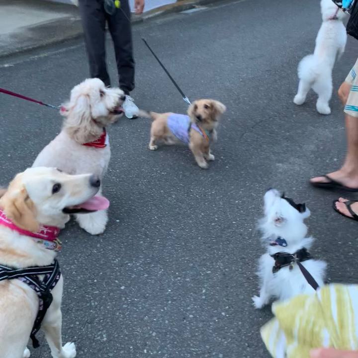 D0465e75 725c 40d3 8174 23f26ce8a5cd 1756805618128