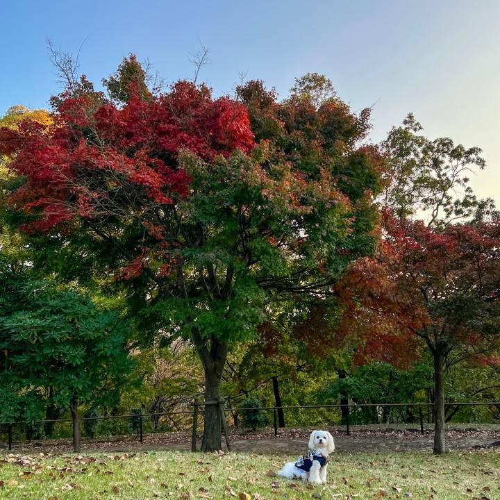 D046de71 bf99 4711 ab94 fd17a4d72619 1668239909229