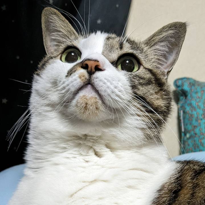 D046e3b3 db59 4abb 9ffc 83dc95c828a5 1703253447713