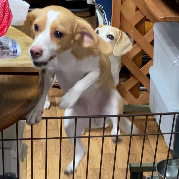 D046e6b0 1f7c 4417 b800 a43430a9b437 1577066250434