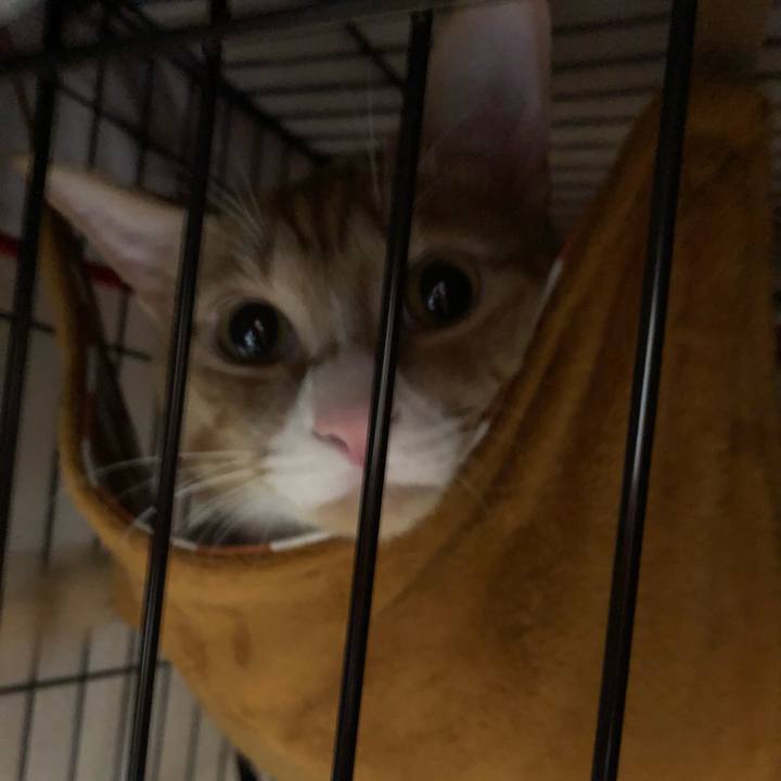 D046eaf1 7a17 403c a453 1c7ab38f1fd6 1560080818858