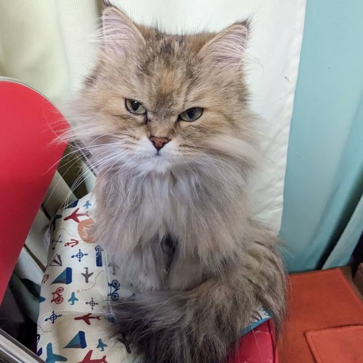 D0470366 ec00 474b 87dd 282d038d5201 1679667153323