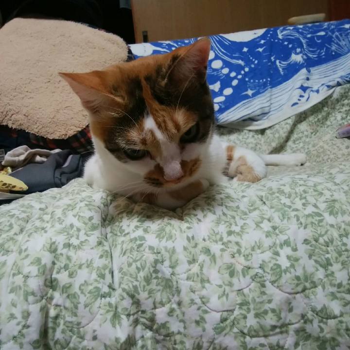 D04705b6 dfc2 4437 a19f f6d0e10a471c 1534852220970