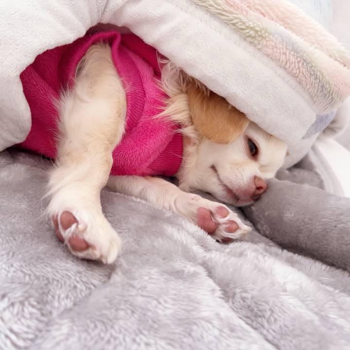 D0472163 5411 42d2 baad bebf963f44dd 1741337425339