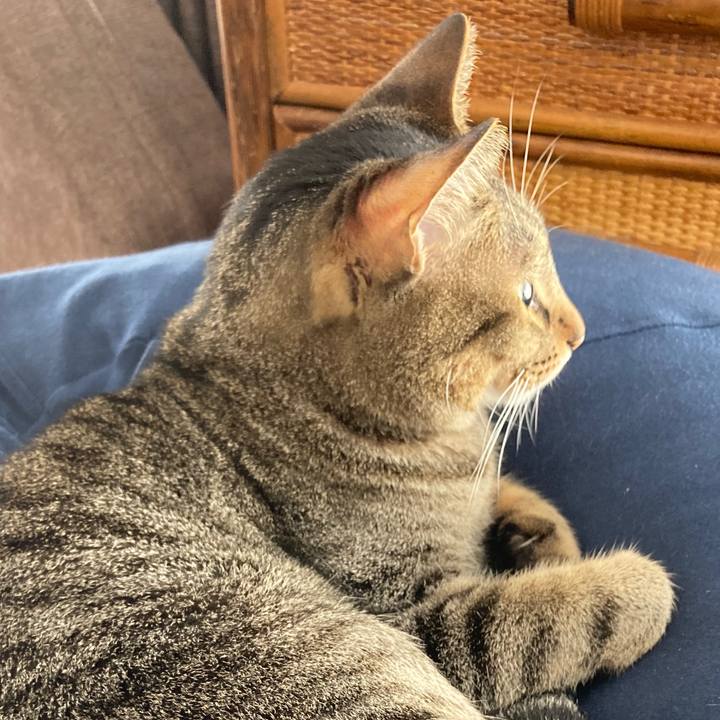 D0475401 a761 45cb aa97 14977dc6875f 1761085828968