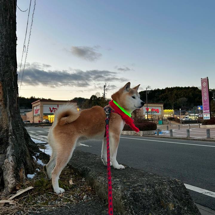 D0475825 84b9 465e a2cc 73ef1305e136 1769849217872