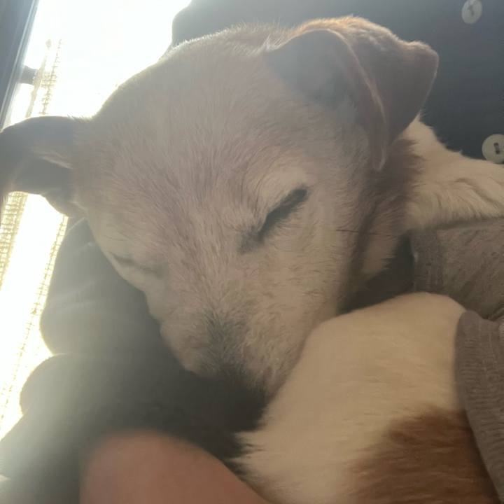 D04758c7 62fb 4017 a4c3 79756c4ab8c4 1772837050553