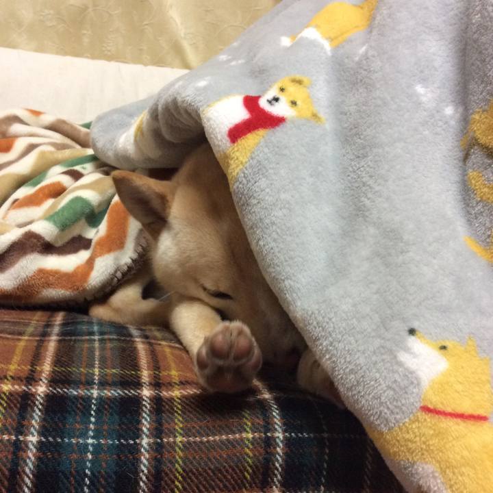 D048186b 3ea7 4f37 8a3b 6f4bb954e2c4 1516017247539