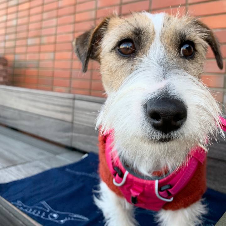 D0482435 26cd 4394 9351 8e170c5cfe8f 1577621411064