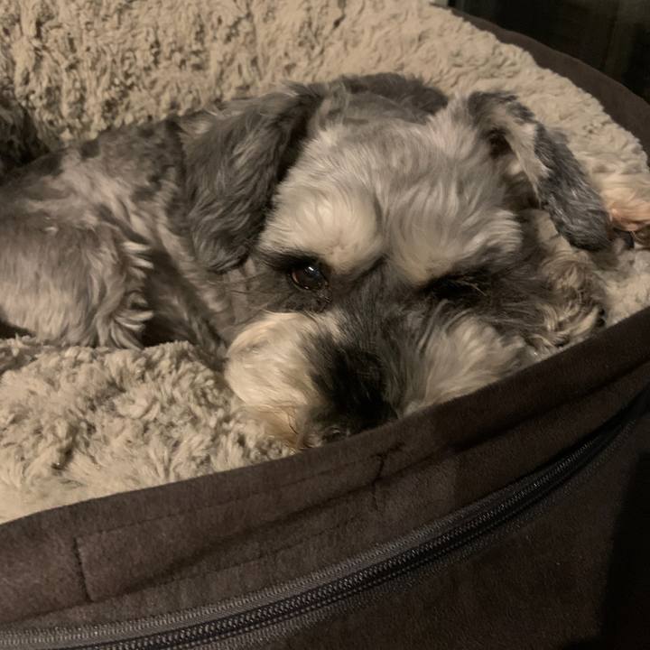 D0483709 ab03 486c bdc1 ea3427d9f4c2 1683722727831