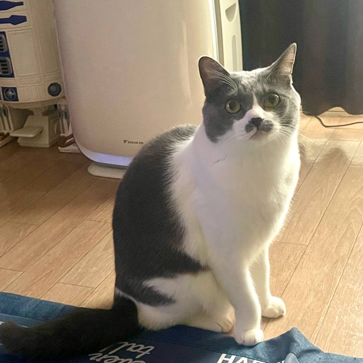 D048412b f787 4932 81ef c5e64fedd497 1732585028037