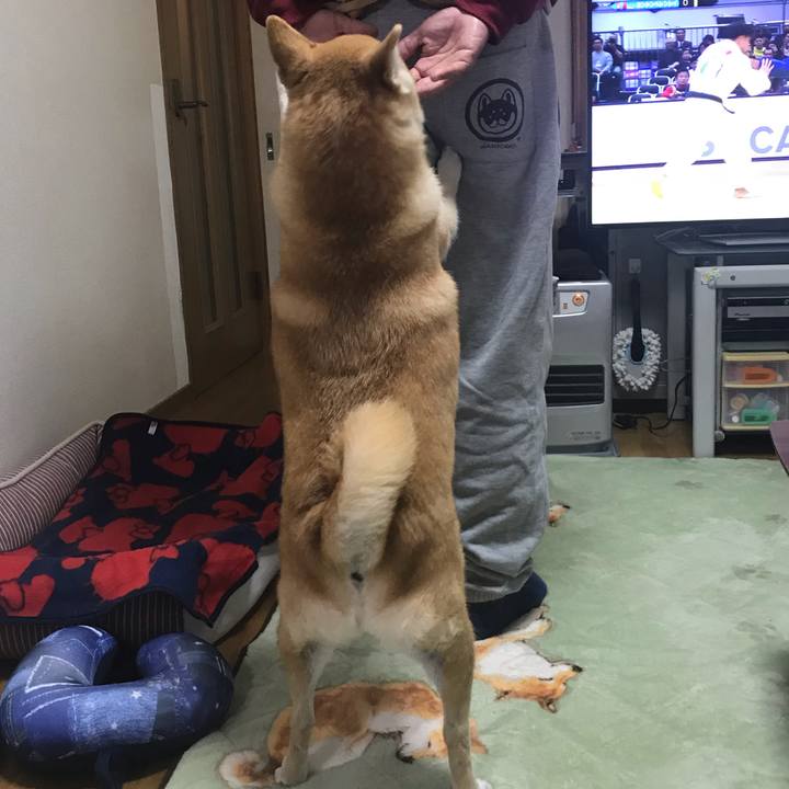 D048500a eb78 4589 bcda 176dfef5b41e 1542978297767