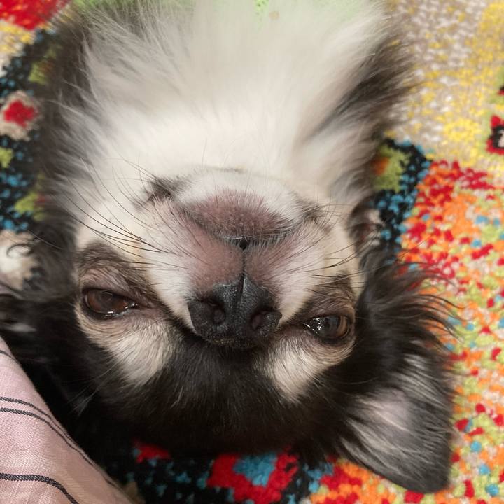 D04851b4 4977 4443 b372 de8c5b22958f 1695048039130